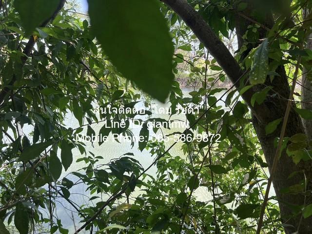 บ้าน บ้านเดี่ยวติดทะเลสาบ พุทธมณฑลสาย 3 19000000 บาท. 0 RAI 2 Ngan 91 ตาราง-วา ใกล้กับ โครงการใกล้สนามกีฬาส่งเสริมสุขภาพ 8