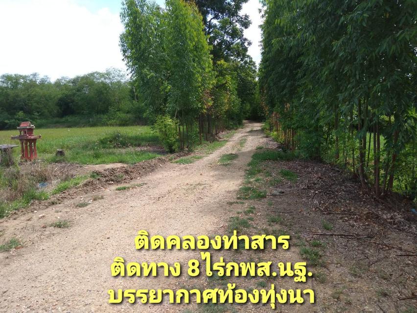 ที่ดินริมน้ำ ติดคลองท่าสารสายหลัก ได้ที่ฟรีอีกจำนวนหนึ่ง ที่สูงน้ำไม่ท่วม  8ไร่ 3
