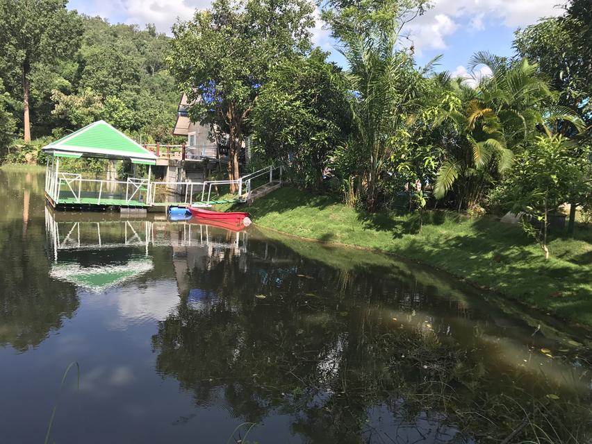 ขายบ้านทรงรีสอร์ท ใกล้เขา ติดลำธาร จังหวัดปราจีนบุรี 6