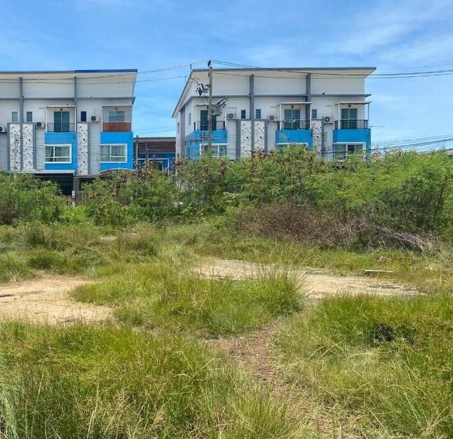 ขายที่ดินเสม็ดถมแล้วเนื้อที่ 199 ตรว. ติดถนนซ.นารถมนตเสวี9/1 ใกล้ถนนพระยาสัจจาเพียง300เมตร อ.เมืองชลบุรี 5