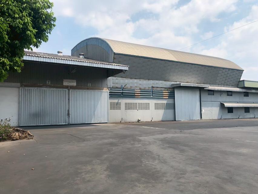 ปล่อยเช่าโกดัง ซอยใจเอื้อ ใกล้แยกบางคูวัด ปทุมธานีราคาถูก ขนาดเล็กและใหญ่ มีรปภ 24 ชั่วโมง 4