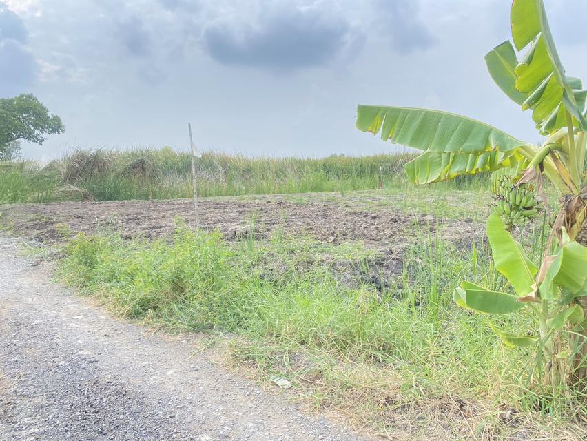 ขายที่ดินเปล่า ติดคลังสินค้า icd ลาดกระบัง 2