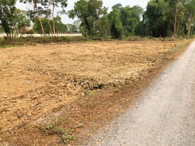 เดอะคริสตัล ชัยพฤกษ์ 1.9 กม. BTS ปากเกร็ด 4.9 กม. แม็คโคร ให้เช่าที่ดิน 2 ไร่ (800 ตร.วา.) ถนนชัยพฤกษ์ ทำเลศักยภาพสูง หน 5