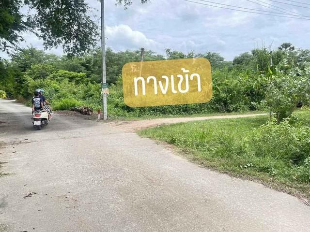 ขายที่ดินหนองตำลึง เนื้อที่ 30 ตรว อยู่ในแหล่งชุมนุม เหมาะสำหรับท่านที่มองหาที่ดินปลูกบ้านอยู่ในแหล่งชุมชน