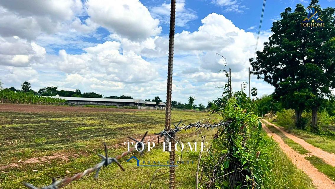 ขายด่วน! ที่ดินแปลงใหญ่ ติดถนน ทำเลดี ตำบลหนองแปน อำเภอมัญจาคีรี จังหวัดขอนแก่น 6