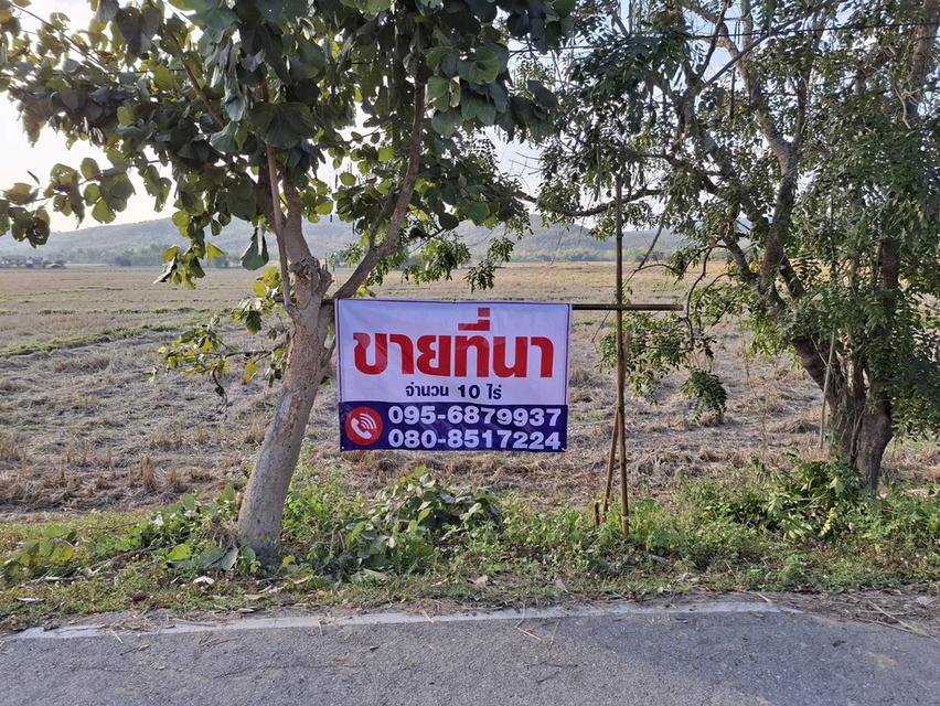 อสังหาริมทรัพย์ที่นา รูปย่อยที่ 5