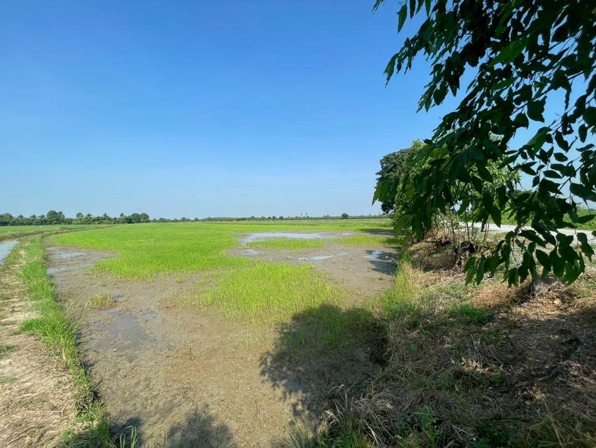 ที่ดิน จำนวน 9 ไร่ จ.สุพรรณบุรี 2