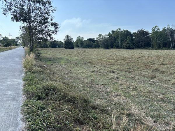 ขายที่ดิน 13 ไร่ 63 ตร.ว. บ้านนา นครนายก ถนนสุวรรณศร ยกแปลก หรือแบ่งก็ได้ โทร 089-7411750 6