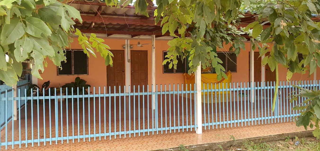 บ้านพร้อมที่ดินทำเลทอง ใกล้เซ็นทรัลพิษณุโลก 9