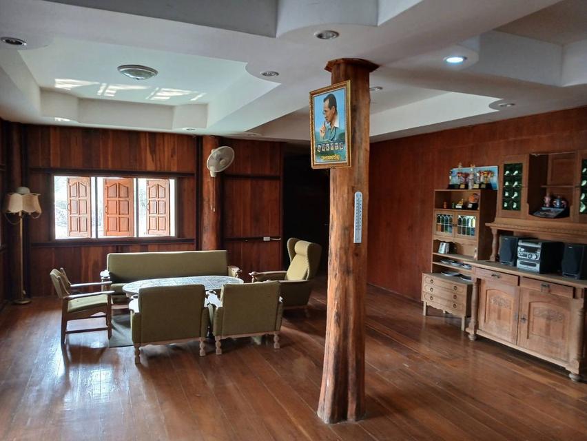ขายที่ดินพร้อมบ้านและสวนลำไย 14 ไร่ ทำเลดีมาก อ.เมือง จ.ลำพุน 11