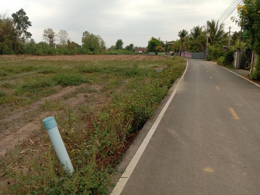 ขายที่ดินพร้อมบ้าน 4 ไร่ 1 งาน ใกล้ตัวเมืองบ้านเหล่า อ.สูงเม่น จ.แพร่ เหมาะลงทุน ทำการเกษตร พักอาศัย 1