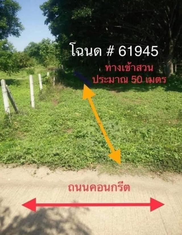 ที่ดินสวนไม้สัก 5 ไร่ 23 ตร.ว. จ.ลำปาง 5