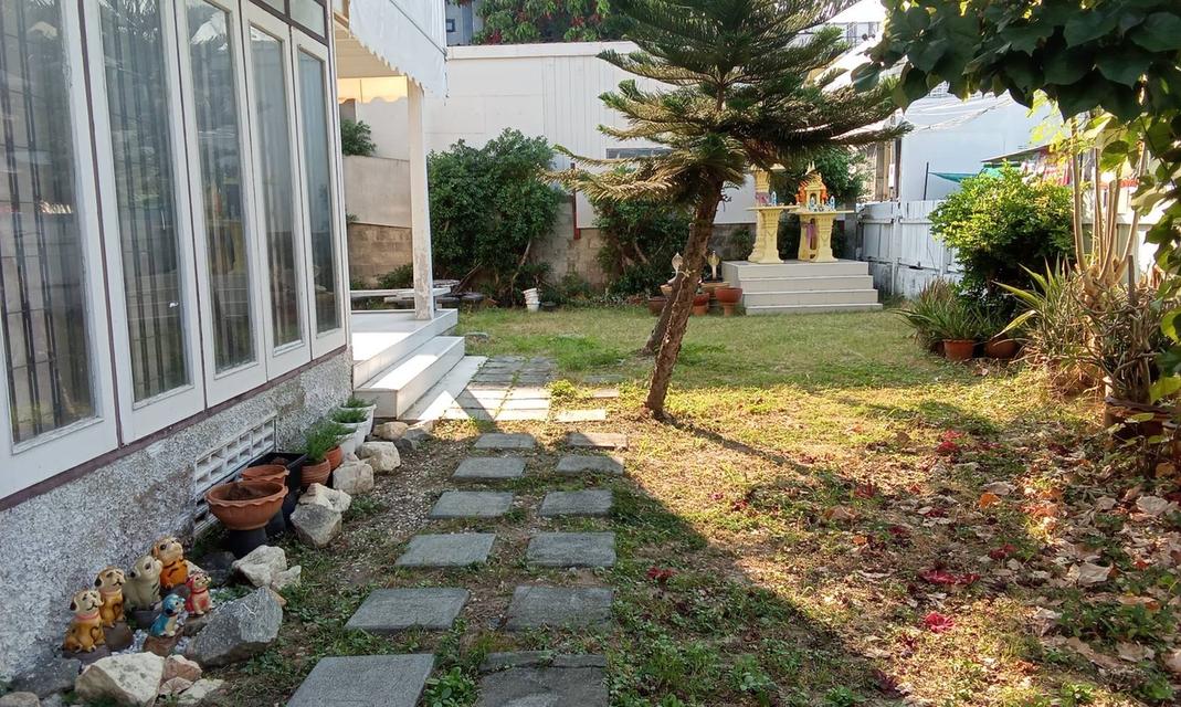 ขายบ้านพักตากอากาศ บ้านไม้มะค่าพร้อมที่ดินฝั่งทะเล 8