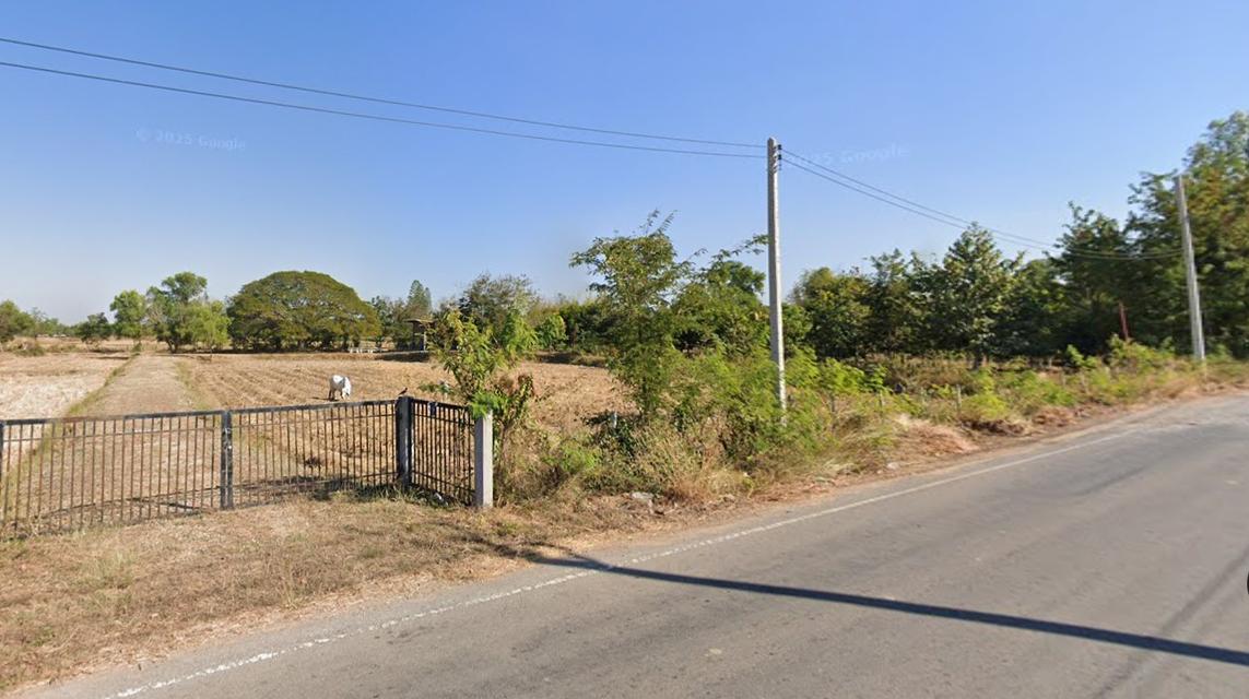 ขายที่ดิน 6 ไร่ พร้อมบ้านสวน ติดถนนใหญ่ บ้านฝาง ขอนแก่น 2