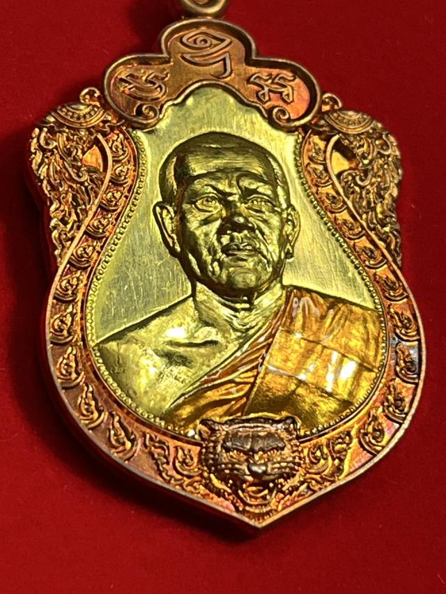 110. เหรียญเสมาหัวเสือ พระอาจารย์ประสูติ วัดในเตา จ.ตรัง 2568 11