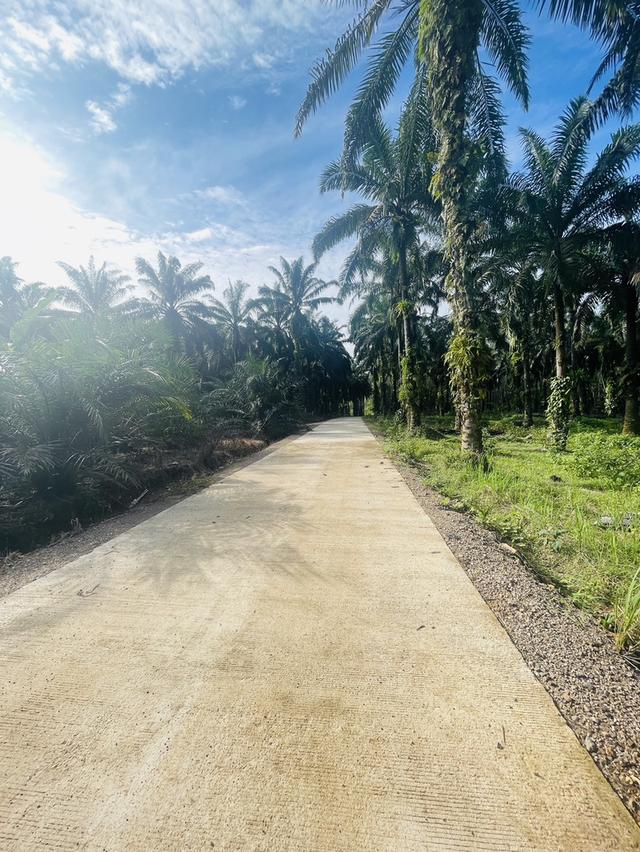 ที่ดิน 2