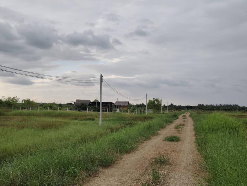 😮แม่เจ้า..เกือบไร่ครึ่งไม่ถึงล้าน ที่ดินโฉนดติดคลอง14 เจ้าของขายเอง!!! 7