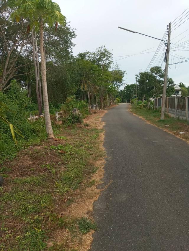 ขายที่ดินพร้อมสิ่งปลูกสร้างใน จ.สุราษฎร์ 2