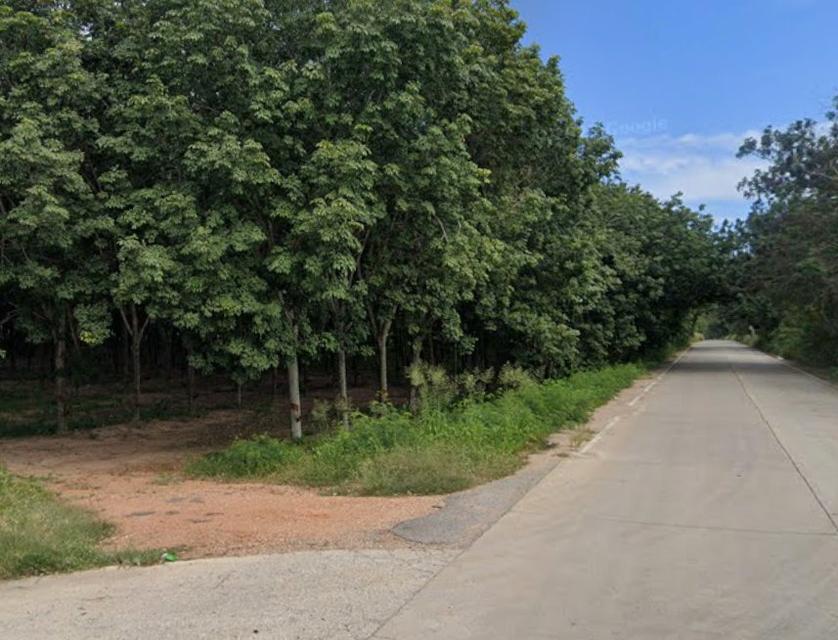 ขายที่ดินนาวังหิน 46 ไร่ ติดถนนเส้นตลาดน้ำ3วัง ใกล้ถนน331-1กม. อ.พนัสนิคม ชลบุรี 6