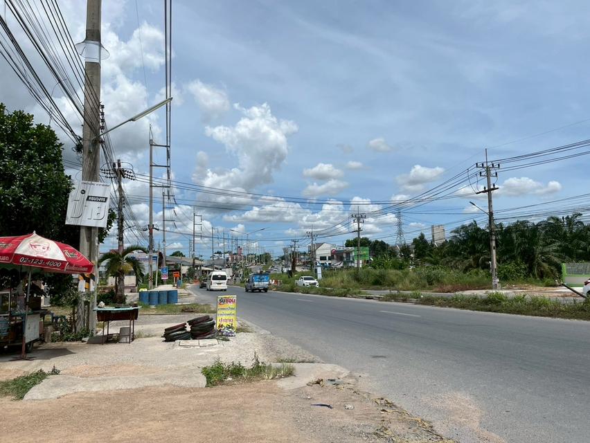 ขายที่ดินปลวกแดง - ติดถนนใหญ่ ( ถนน 4 เลน ) ระยอง 8