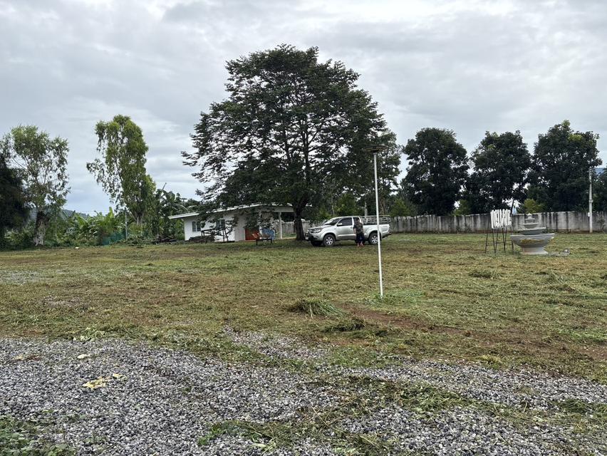 ที่ดินสถานที่ท่องเที่ยว ครุฑแดง หน้ากว้าง 67 ม ซีเมนต์ ระบบนำ้ - ไฟฟ้าเข้าถึง 16