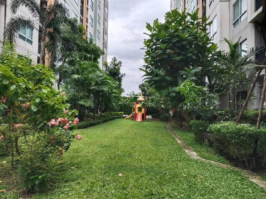 ขายคอนโด วี คอนโด ลาดกระบัง เฟส A ห้องวิวสวน บรรยากาศดี รีโนเวทใหม่ทั้งห้อง สวย สะอาด 13