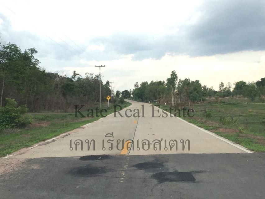 ขายที่ดินสวยติดแม่น้ำมูลทั้งผืน อากาศเย็นสบายทั้งปีหน้าที่ดินเป็นถนนคอนกรีตเทใหม่เอี่ยม   อำเภอพิบูลมังสาหาร จังหวัดอุบลราชธานี  6