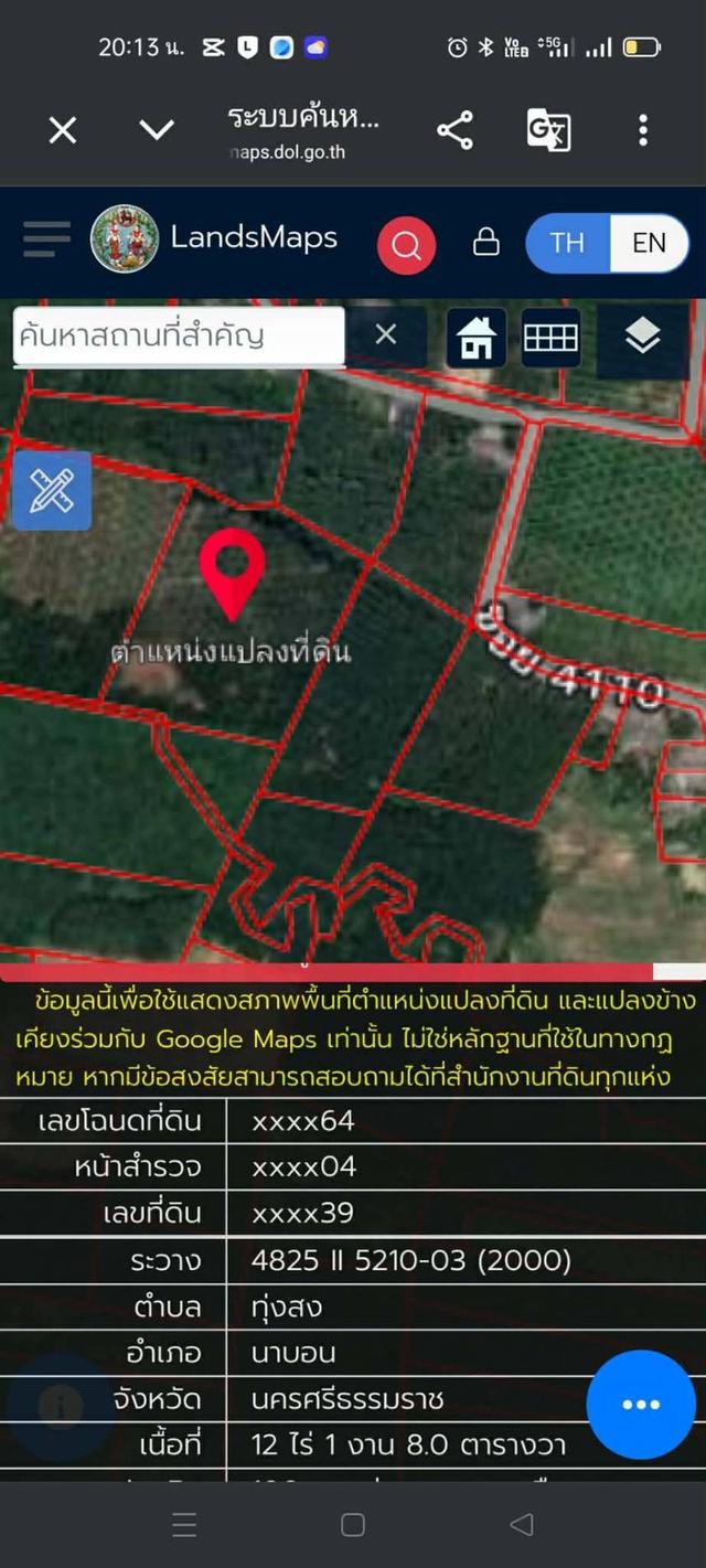 🌴 สวนปาล์มน้ำมัน พร้อมเก็บผลผลิต ทำเลดี ใกล้ถนน 🌴 8