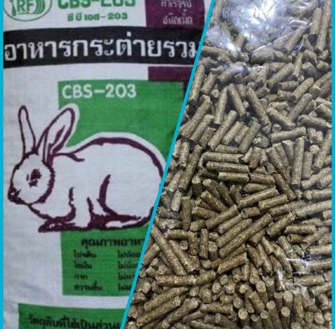 อาหารกระต่าย 1