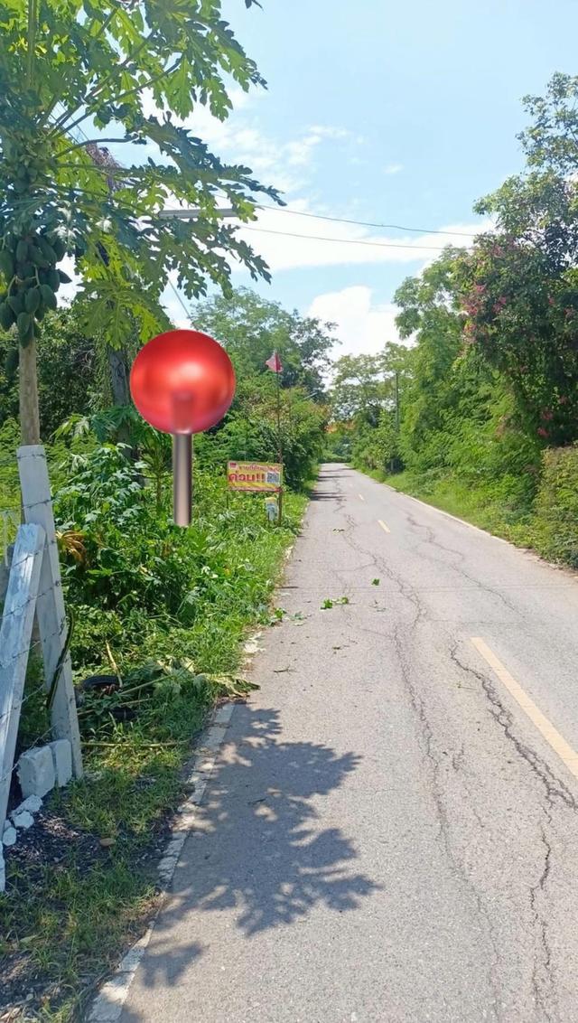 ขายที่ดินแปลงเล็กเสาไห้สระบุรี 50ตร.วา ราคา370,000 บาท ใกล้วัดป่าสักตำบลศาลารีไทยสระบุรี0934415691 3