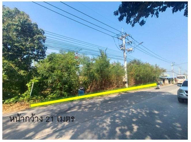 ขายที่ดิน 10 ไร่ ที่หน้าติดถนนคลอง6  รังสิต-ปทุมธานี 1