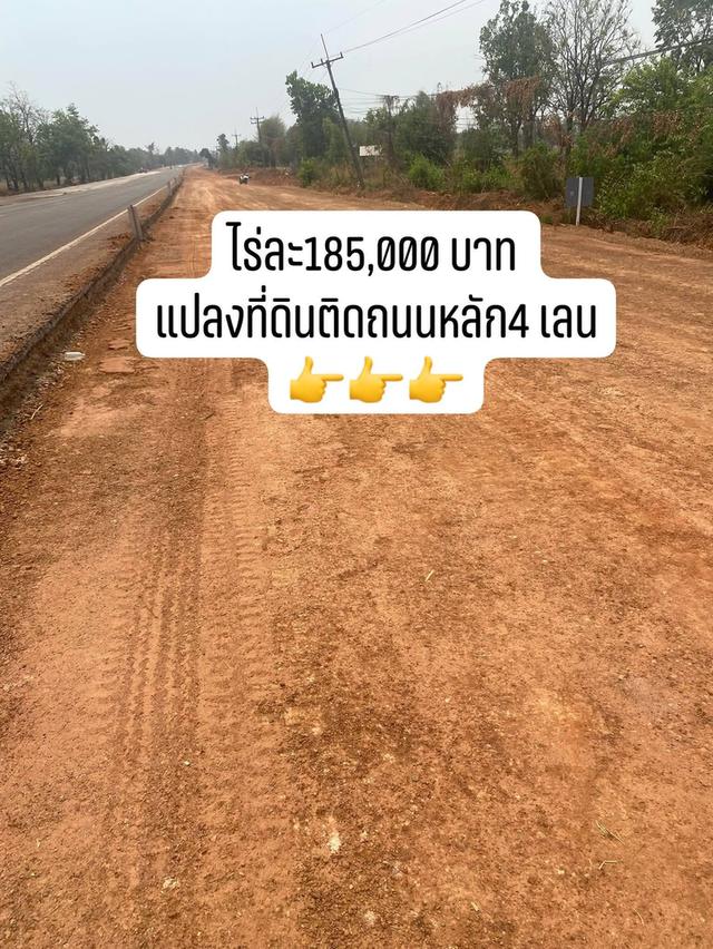 ที่ดินติดถนนหลักเส้นนาแก-พระซอง-เรณู24 ไร่ 4