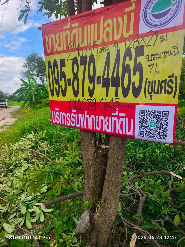 ขายที่ดิน 865 ตรว ติดถนนคอนกรีต ถมแล้ว ซ.บรมราชชนนี 76 ตลิ่งชัน กทม. 1
