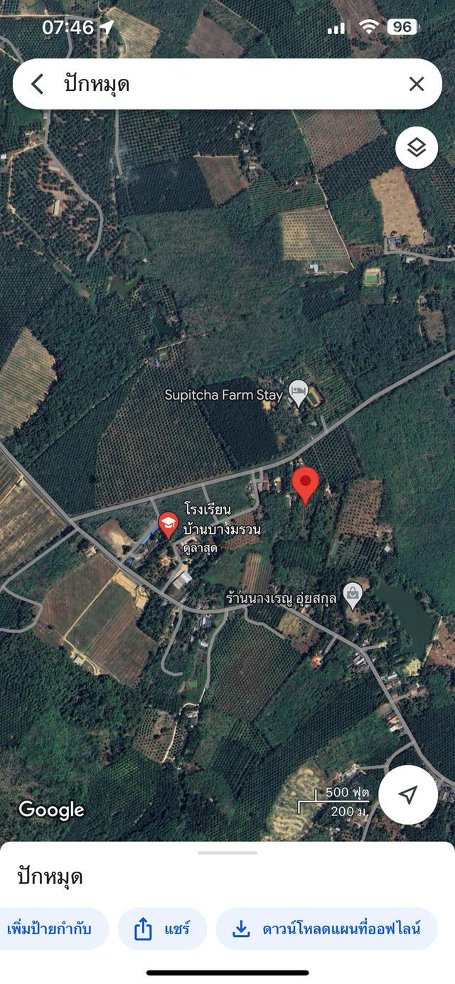 ที่ดิน บางมรวน ตะกั่วป่า พังงา 4