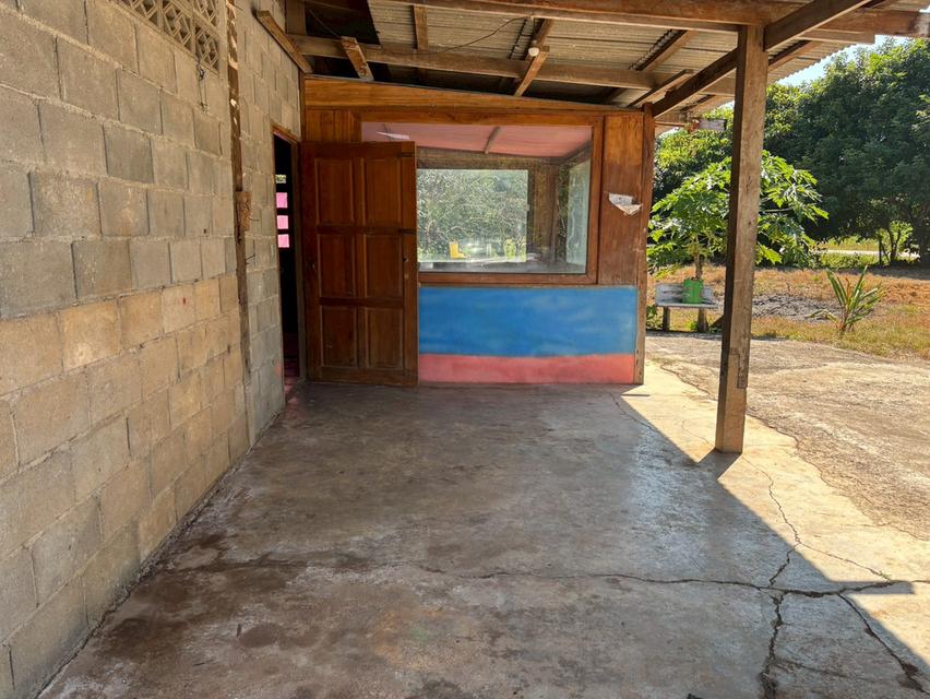 ขายถูก บ้านพร้อมที่ดินบนเนื้อ 3 ไร่ 1 งาน 71 ตรว อ. ไทรโยค กาญจนบุรี 4