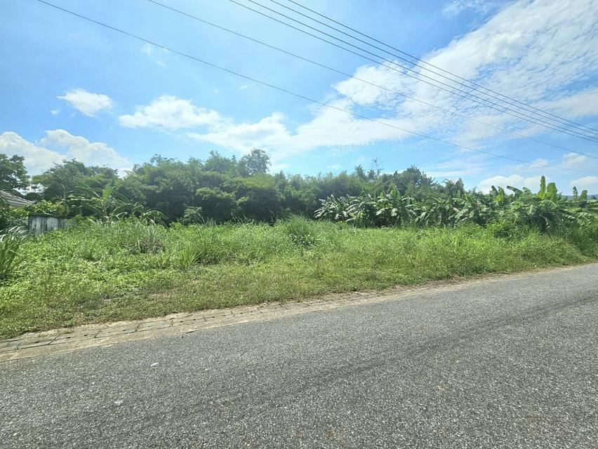 ขายที่ดินบางเสร่ 263 ตรว. ติดถนนลาดยางมีวิวเขา ใกล้ถนนเส้นสุขุมวิท3เพียง300เมตร อ.สัตหีบ ชลบุรี 2