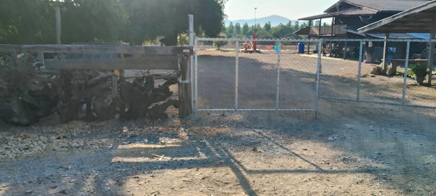 ขายบ้านและที่ดินพร้อมเข้าอยู่ 10