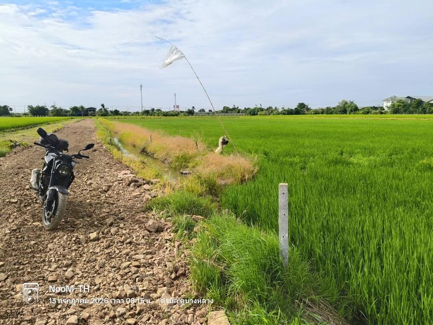 ขายที่ดินเปล่าทุ่งนาพื้นที่สีแดง2ไร่ คูบางหลวง ลาดหลุมแก้ว ปทุมธานี 1