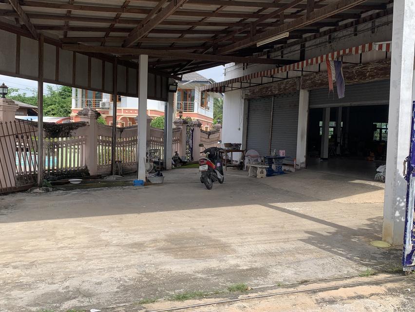 ขายที่ดินพร้อมโกดัง ด้านหน้าติดถนน ม.2 ต.ป่าซาง ออ.ป่าซาง จ.ลำพูน 7