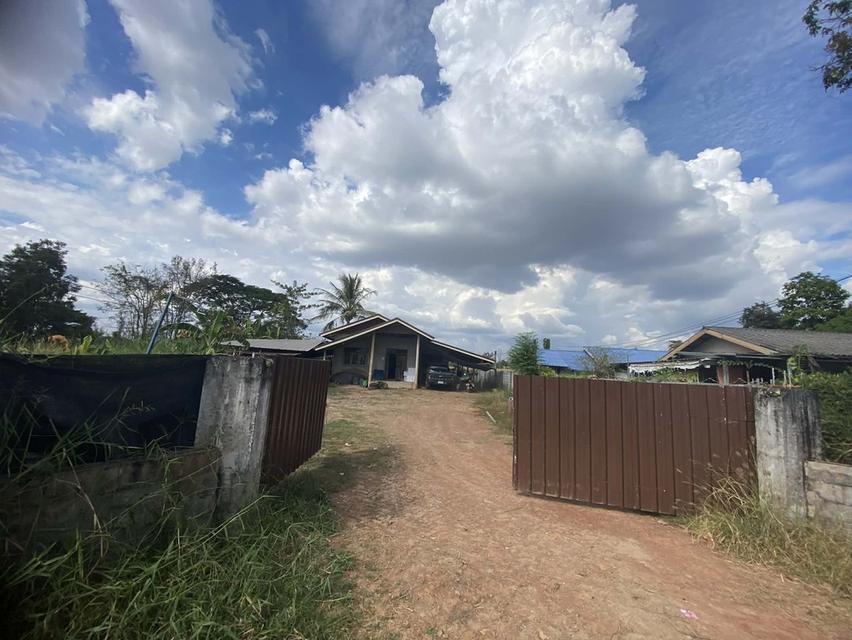 ขายบ้านเดี่ยวพร้อมที่ดิน เนื้อที่ 183 ตร.ว. บ้านนาคลอง อ.เมือง จ.หนองคาย 4