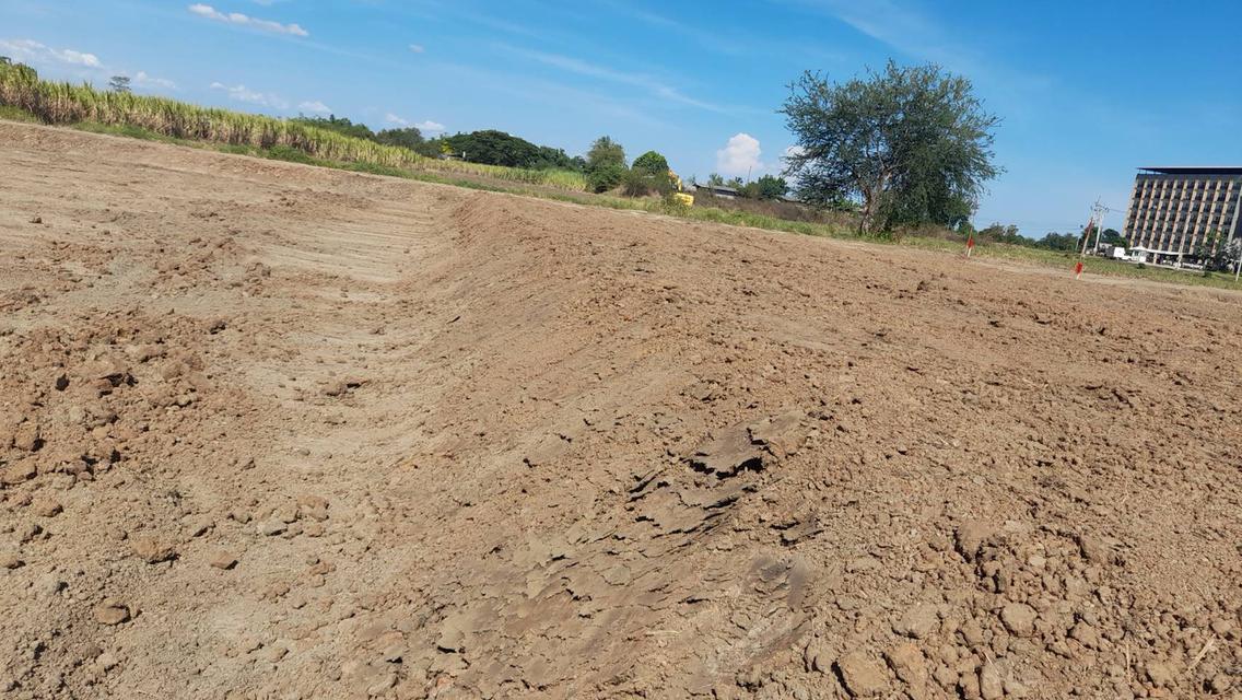 land for sale ขายที่ดินสวยมาก กำแพงแสน แบ่งขายได้ โฉนดพร้อมโอน 200 ตรว แบ่งขายได้ 11