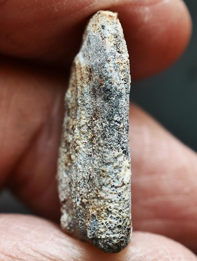 พระปิลันท์ ครอบแก้วเล็ก วัดระฆัง...เก่า เดิมๆ 8