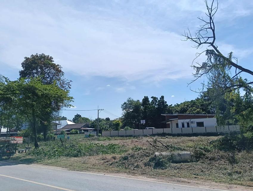 ที่ดินทำเลดีในอำเภอชุมแพ 5