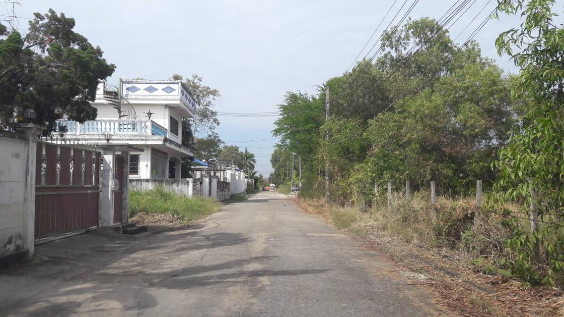 ที่ดิน ทรงสวย ขนาดพอดี สร้างบ้าน อาคารสำนักงาน อยู่ถนนเพิ่มสิน เข้าซอยแค่ 250 เมตร  7