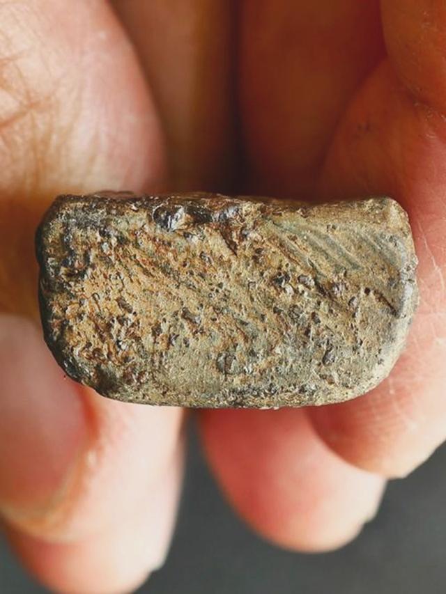 พระนางพญา พิษณุโลก พิมพ์อกนูนใหญ่...เก่า เนื้อจัดสุดๆๆ 11