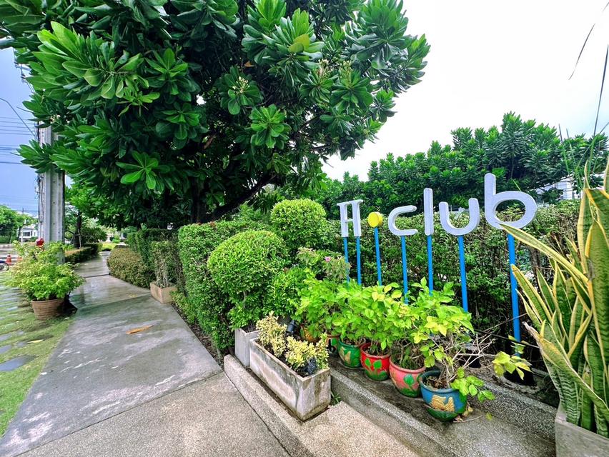 ขายทาวเฮ้า 15