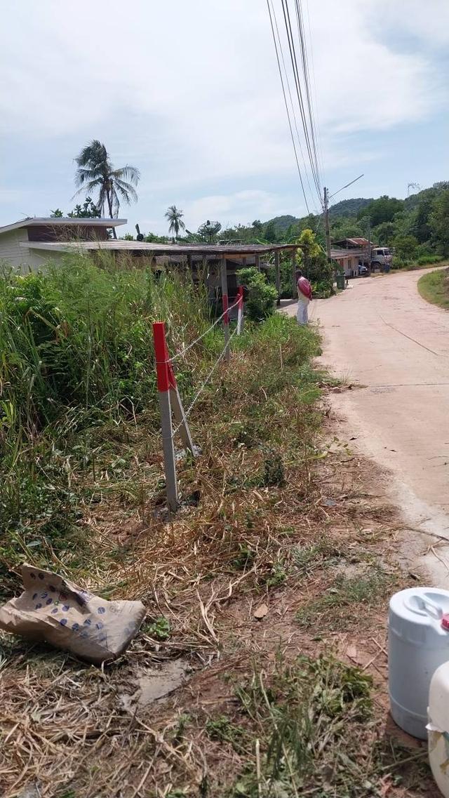 ขายที่ดินบางเสร่ 1 ไร่ ติดถนนคอนกรีตใกล้วิวเขาใกล้ตลาดแยกเจ(ถนนเส้นสุขุมวิท3)7กม. อ.สัตหีบ จ.ชลบุรี