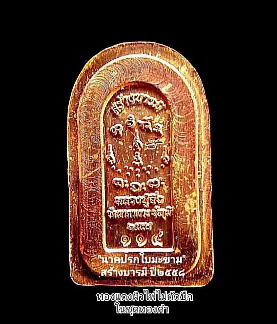 พระนาคปรกใบมะขาม รุ่น สร้างบารมี รูปย่อยที่ 3