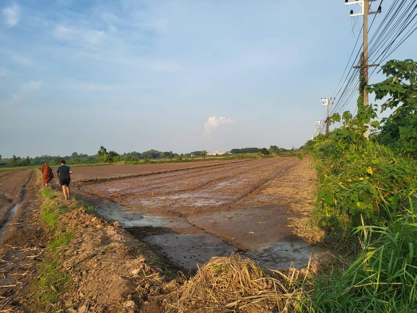 ขายที่ดิน จังหวัดพิจิตร 4