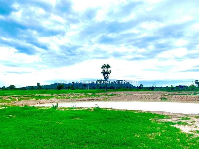 พื้นที่ดิน ขายที่ดินจัดสรรแปลงใหญ่ พร้อมทะเลสาบ (ติดถนนหลัก และติดถนนรอง) อู่ทอง จ.สุพรรณบุรี 60-3-0 ไร่ ราคา 23 ล้าน 24 1